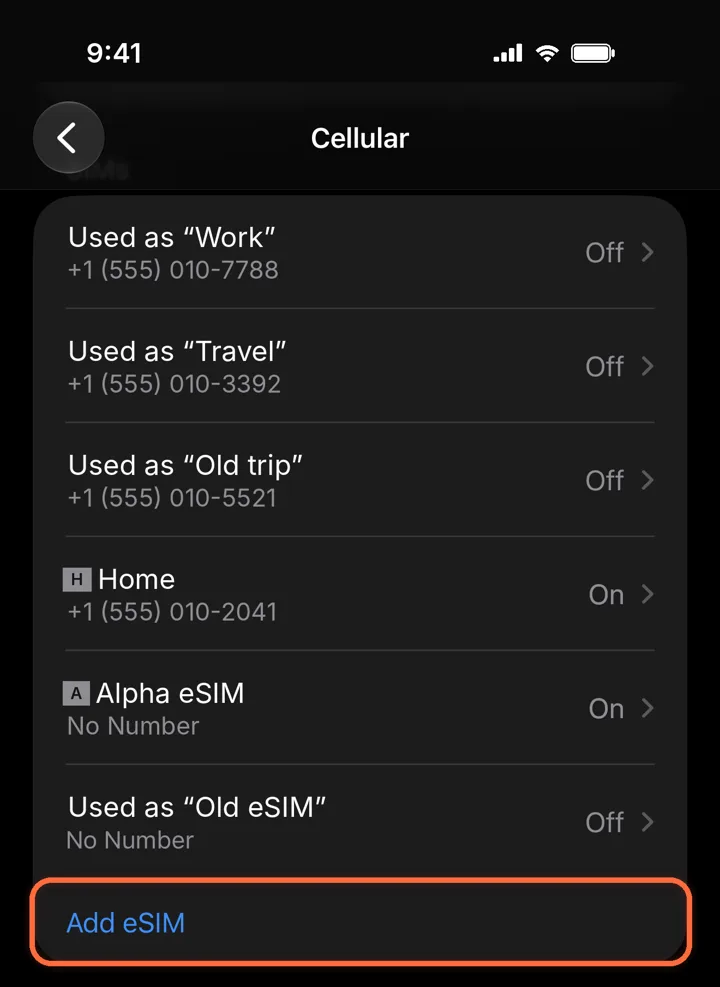 Cellular settings with Add eSIM highlighted