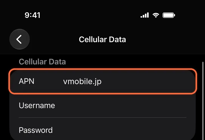 Cellular Data Network with the APN set to vmobile.jp