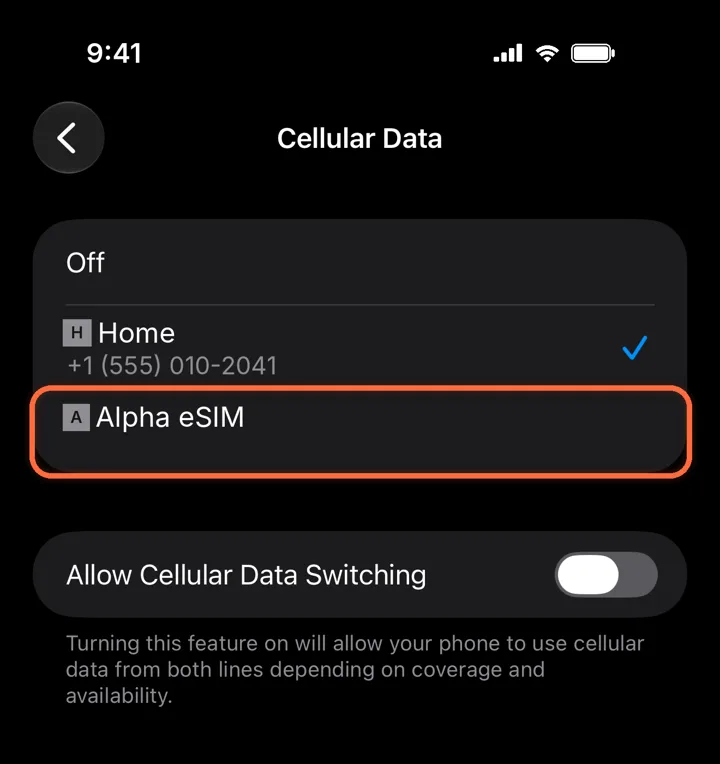 Cellular Data screen with Alpha eSIM selected