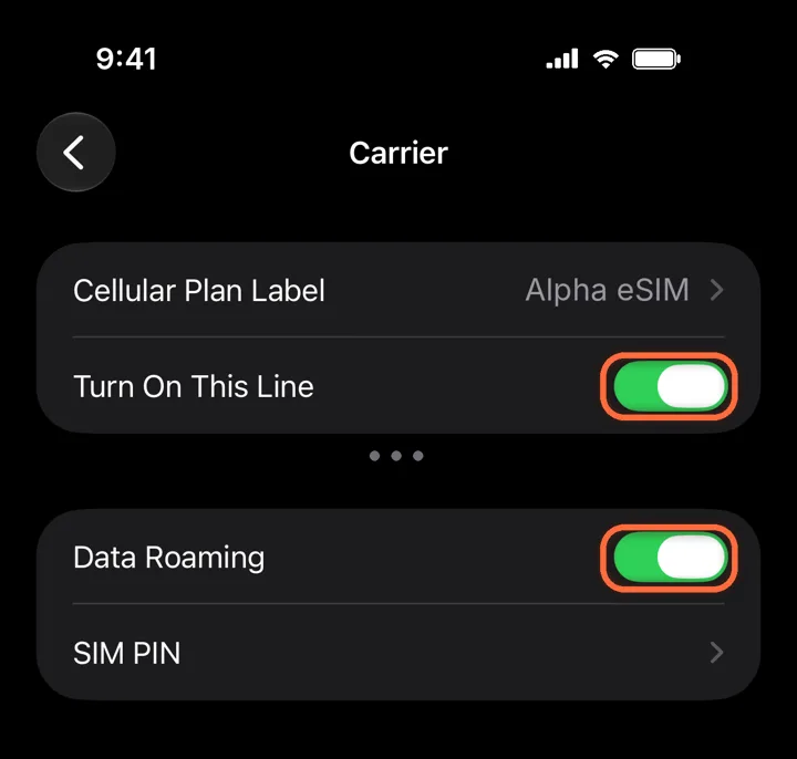 Alpha eSIM line with Turn On This Line and Data Roaming switched on
